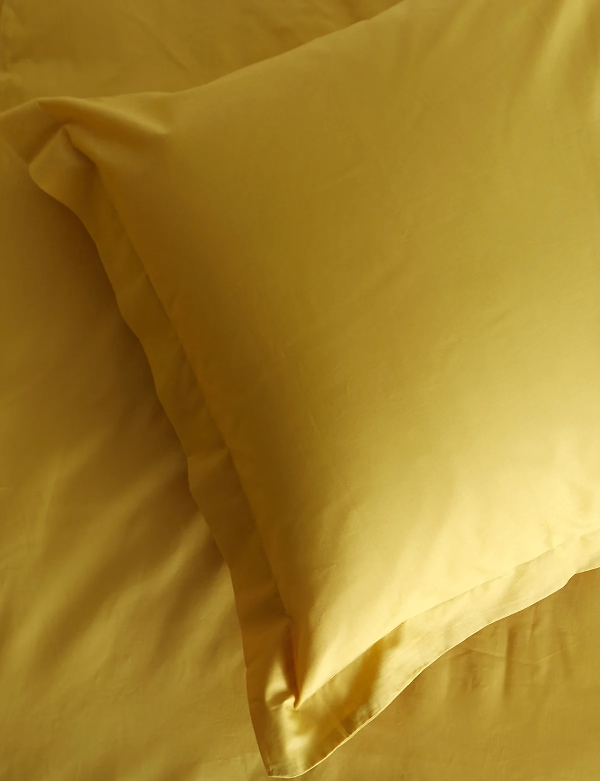 Imagen del producto 19