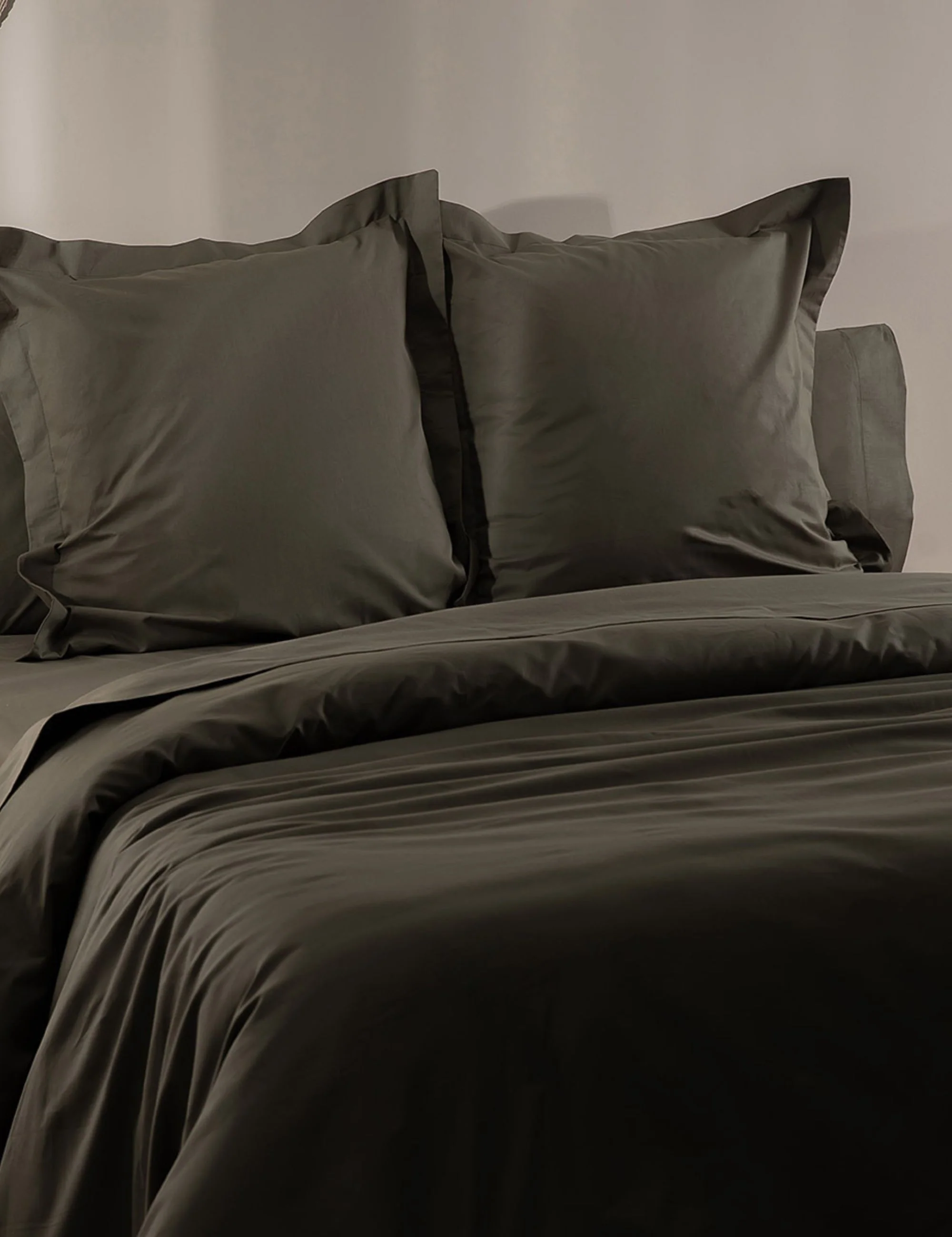 Imagen del producto 40